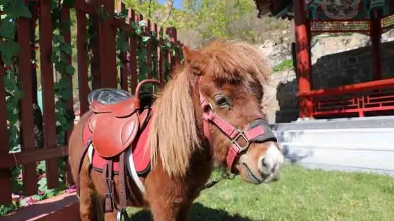 【书法名家】花新全老师优秀作品欣赏