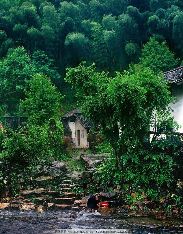 猫做了驱虫在纸箱里待两天可以吗？游戏画面
