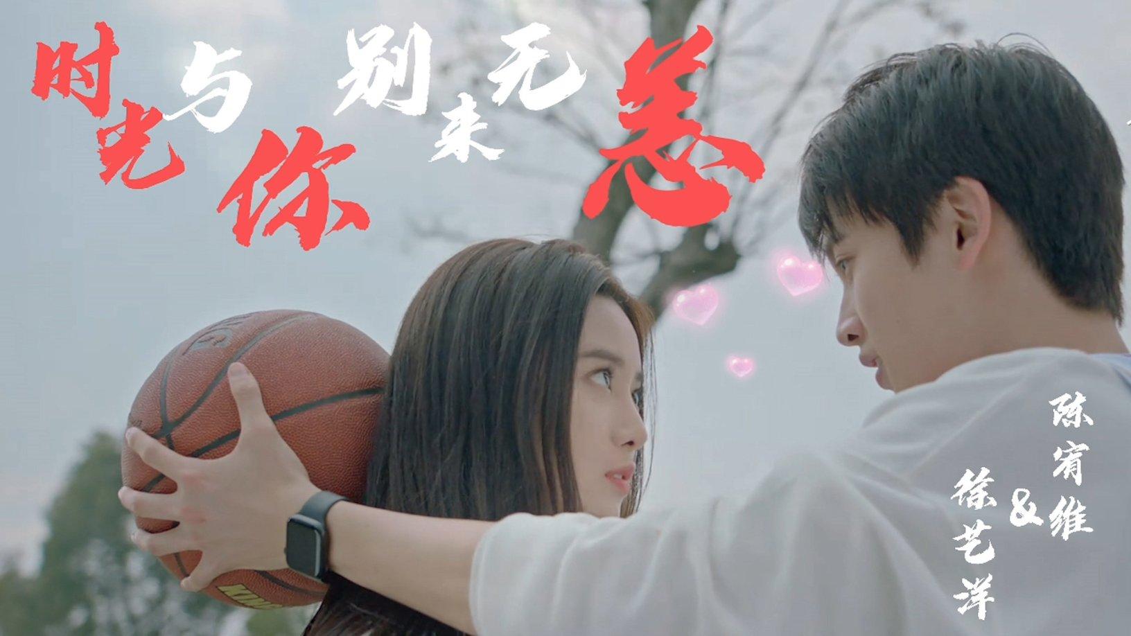 救援大嘴鸟