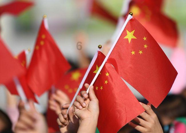 二哈刚进新家就狂挖洞，主人差点吓尿：挖槽！这狗救了整个小区的命啊！