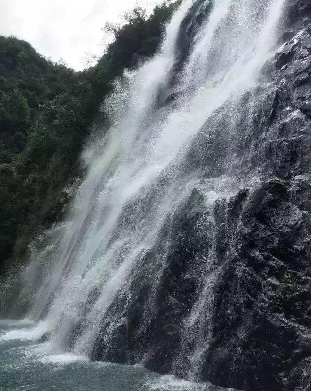 曲棍球教练逃生