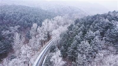 机智问答网页-在好看做主播,带货扶持政策多,千万流量加持还有专属运营指导的疑问答案精选